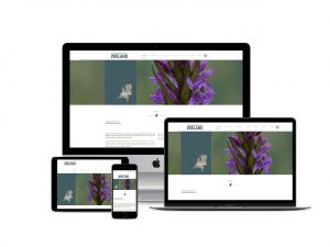 website-FBE-Zeeland